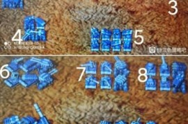 蓝色警戒怎么全屏，🎮 方法一，使用游戏内设置和快捷键（最优先尝试）